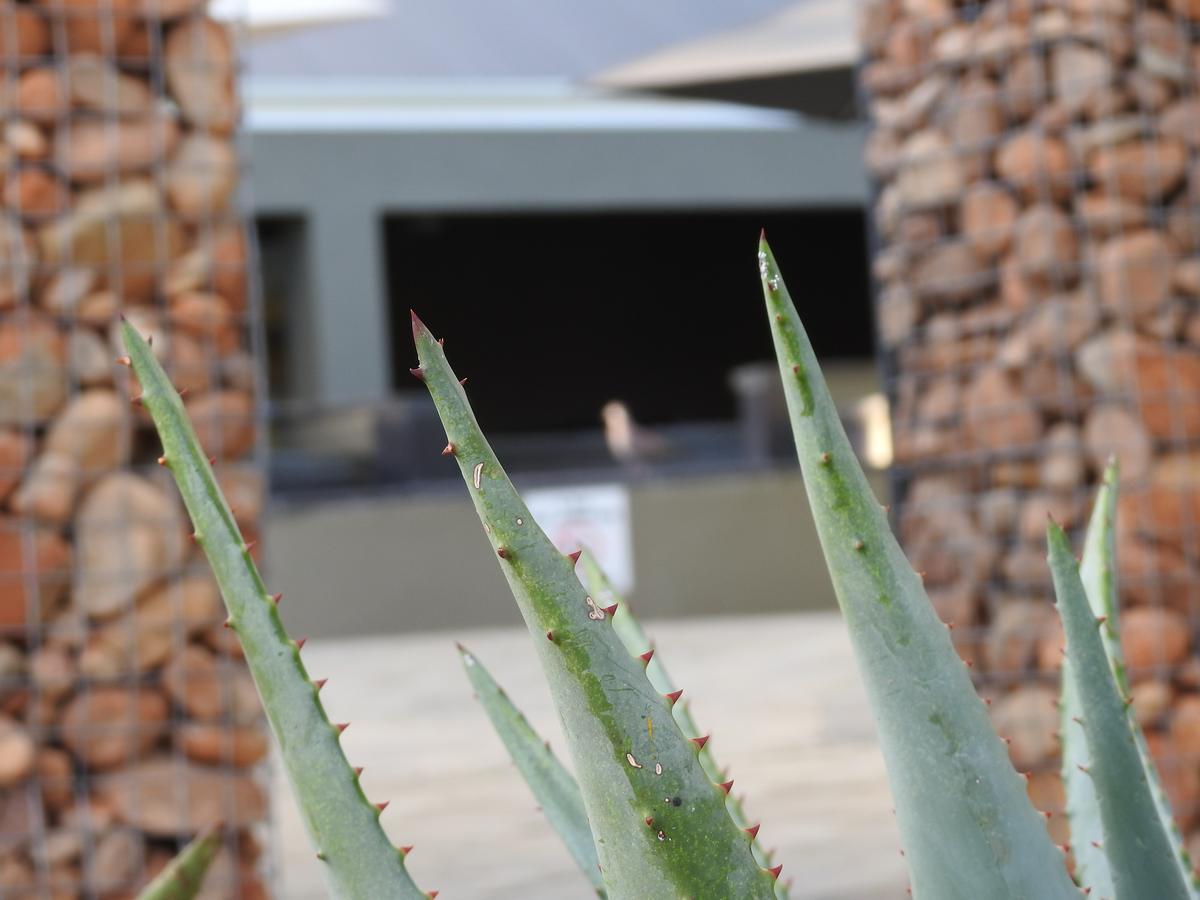 The Featherbed - Oudtshoorn Esterno foto